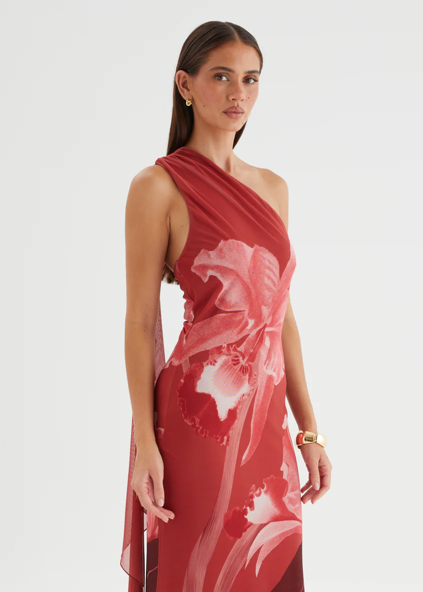 Anjy One Shoulder Mesh Maxi Dress - Strawberry Bloom - Image 3
